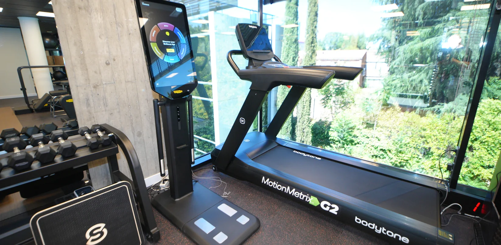 Zona de entrenamiento cardiovascular